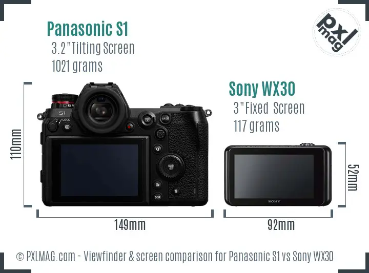 Panasonic S1 vs Sony WX30 Screen and Viewfinder comparison