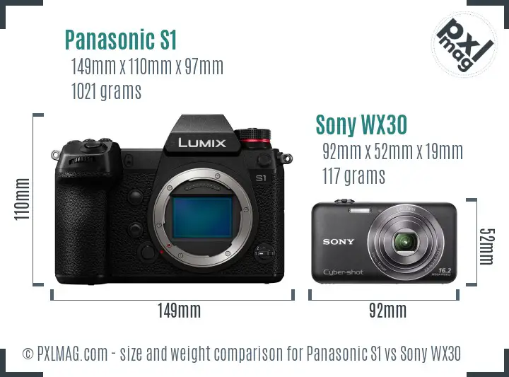 Panasonic S1 vs Sony WX30 size comparison