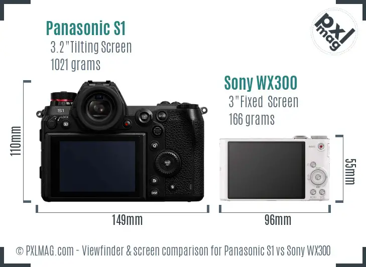 Panasonic S1 vs Sony WX300 Screen and Viewfinder comparison