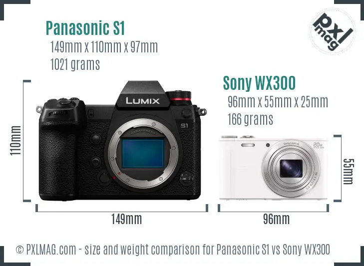 Panasonic S1 vs Sony WX300 size comparison