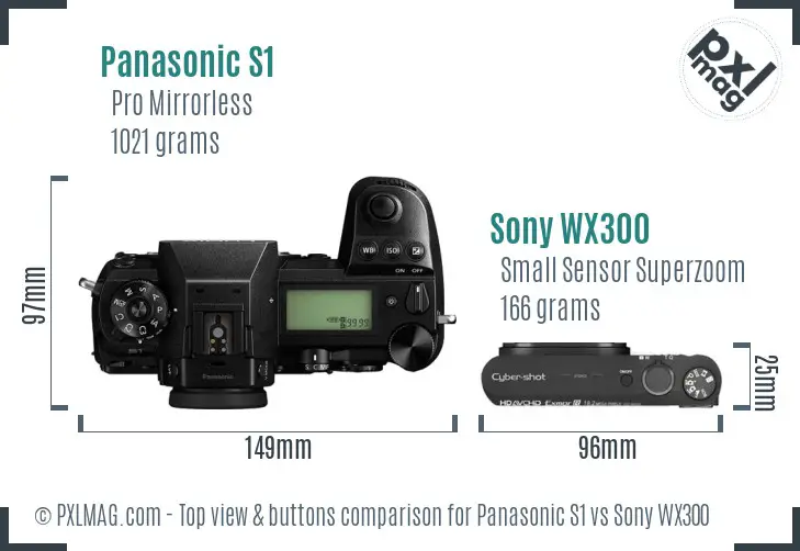 Panasonic S1 vs Sony WX300 top view buttons comparison