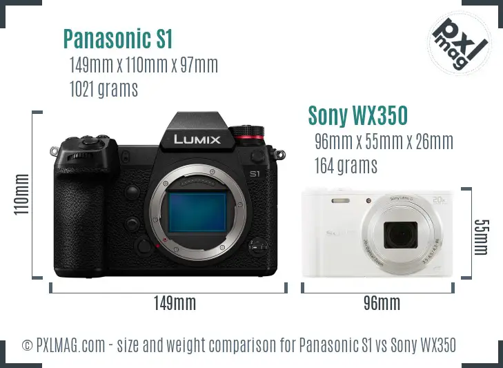 Panasonic S1 vs Sony WX350 size comparison