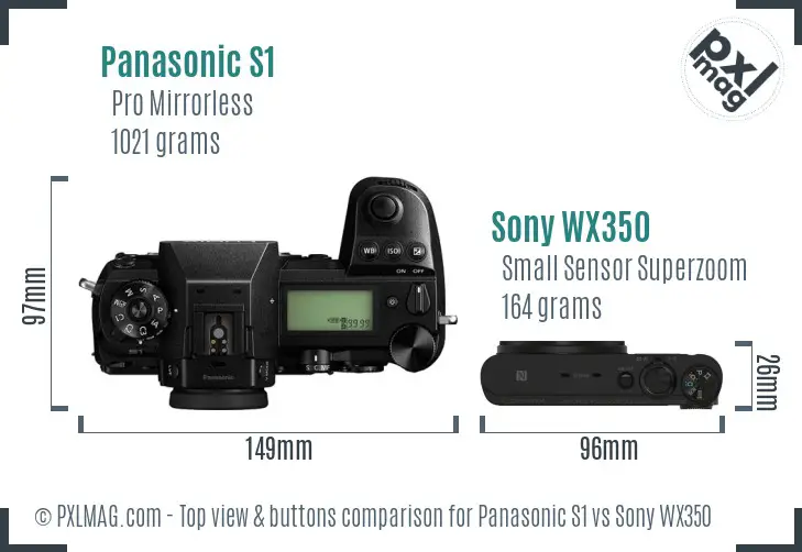 Panasonic S1 vs Sony WX350 top view buttons comparison