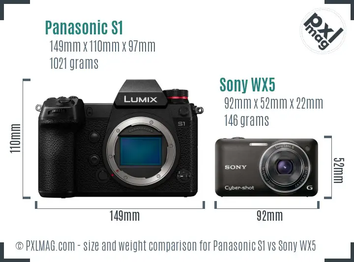 Panasonic S1 vs Sony WX5 size comparison