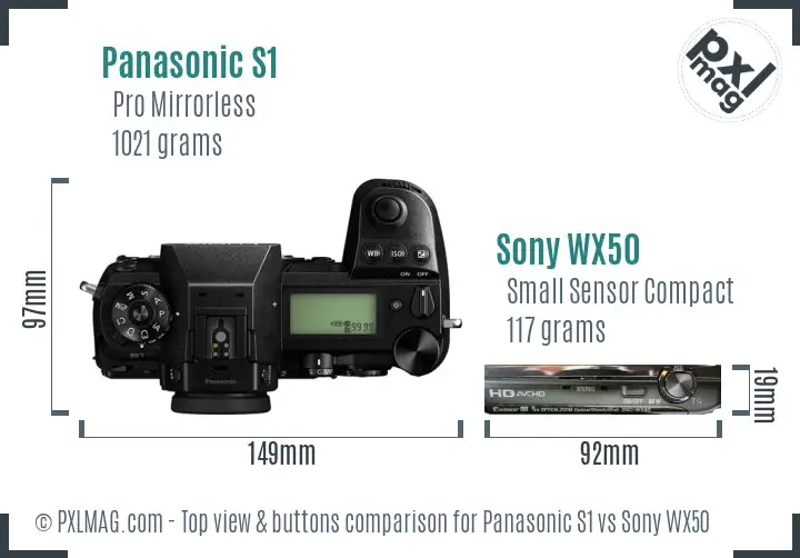 Panasonic S1 vs Sony WX50 top view buttons comparison