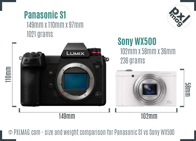 Panasonic S1 vs Sony WX500 size comparison