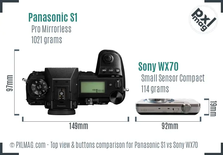 Panasonic S1 vs Sony WX70 top view buttons comparison