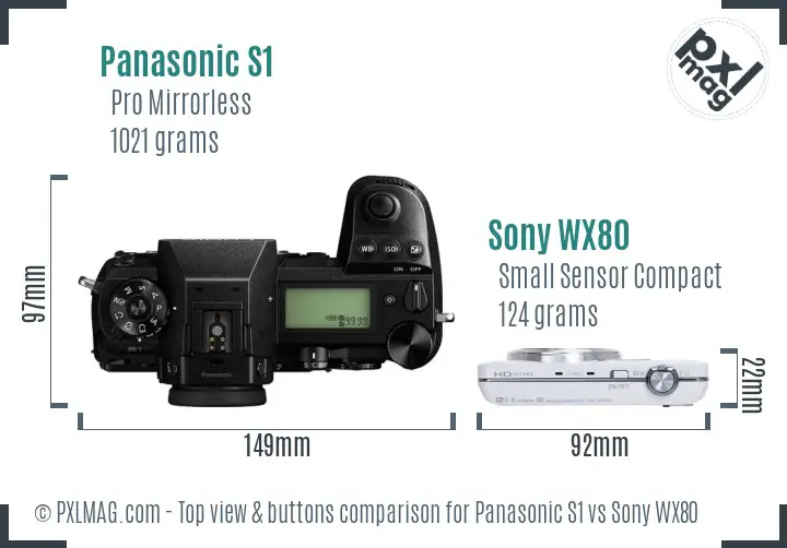 Panasonic S1 vs Sony WX80 top view buttons comparison