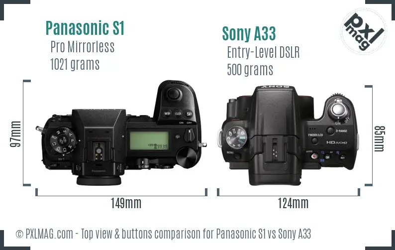Panasonic S1 vs Sony A33 top view buttons comparison