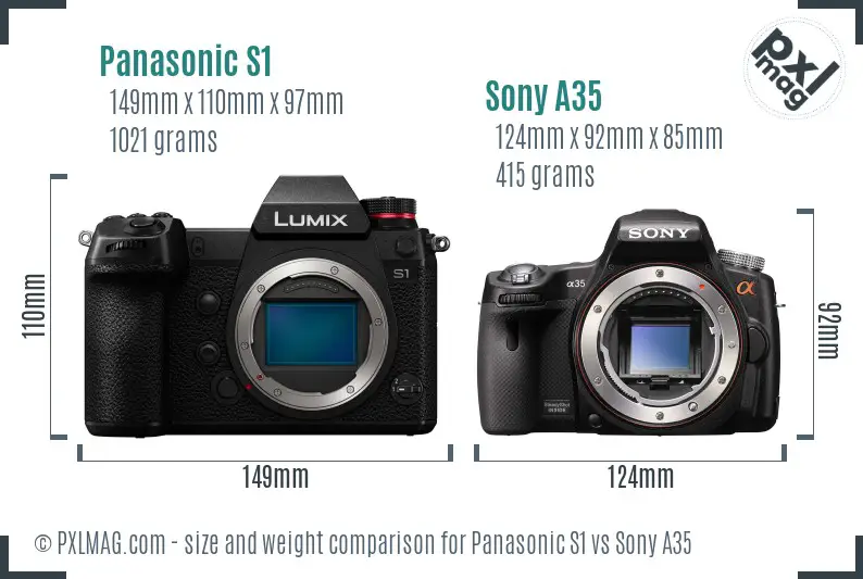 Panasonic S1 vs Sony A35 size comparison