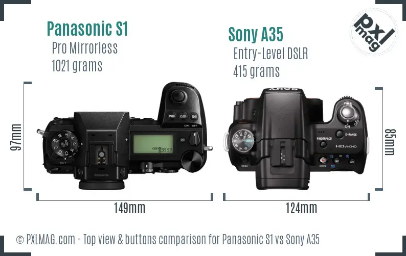 Panasonic S1 vs Sony A35 top view buttons comparison