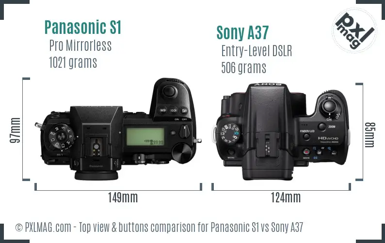 Panasonic S1 vs Sony A37 top view buttons comparison