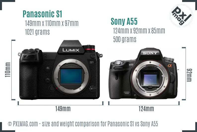 Panasonic S1 vs Sony A55 size comparison