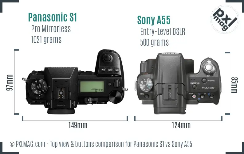 Panasonic S1 vs Sony A55 top view buttons comparison