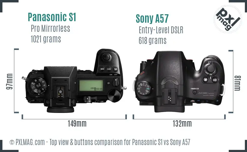 Panasonic S1 vs Sony A57 top view buttons comparison