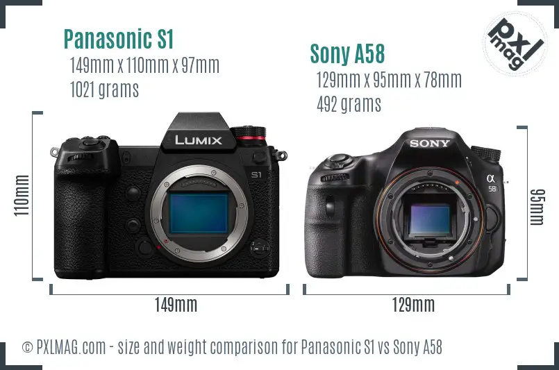 Panasonic S1 vs Sony A58 size comparison