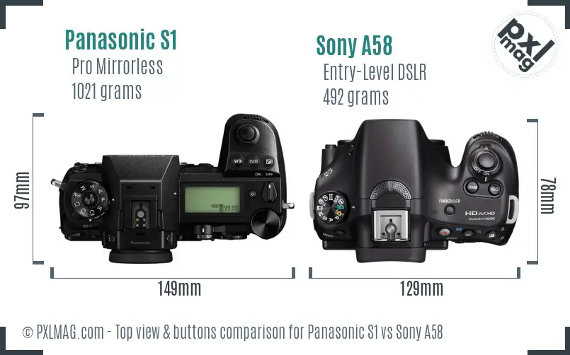 Panasonic S1 vs Sony A58 top view buttons comparison