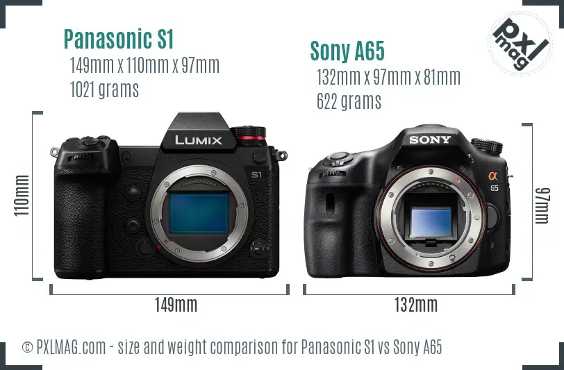 Panasonic S1 vs Sony A65 size comparison Panasonic S1 vs Sony A65 size comparison
