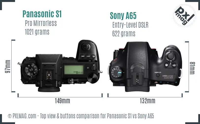 Panasonic S1 vs Sony A65 top view buttons comparison Panasonic S1 vs Sony A65 top view buttons comparison