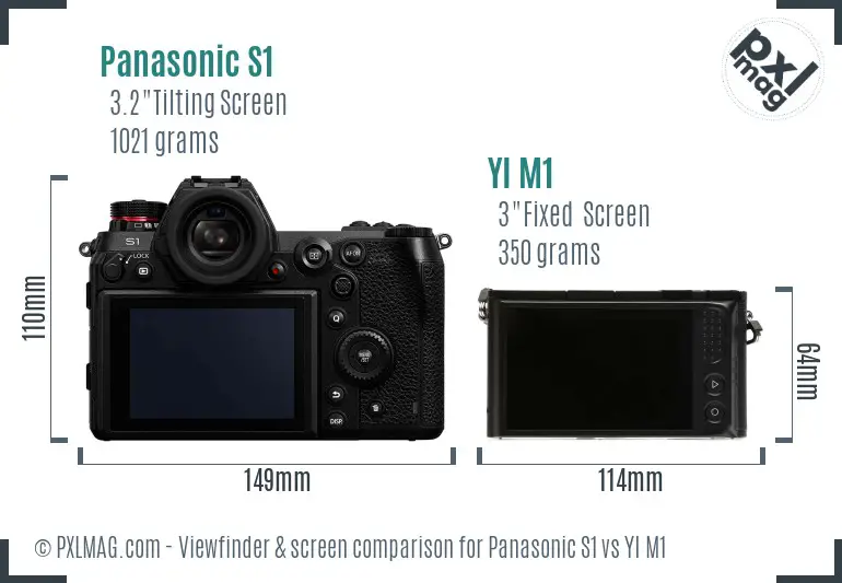 Panasonic S1 vs YI M1 Screen and Viewfinder comparison