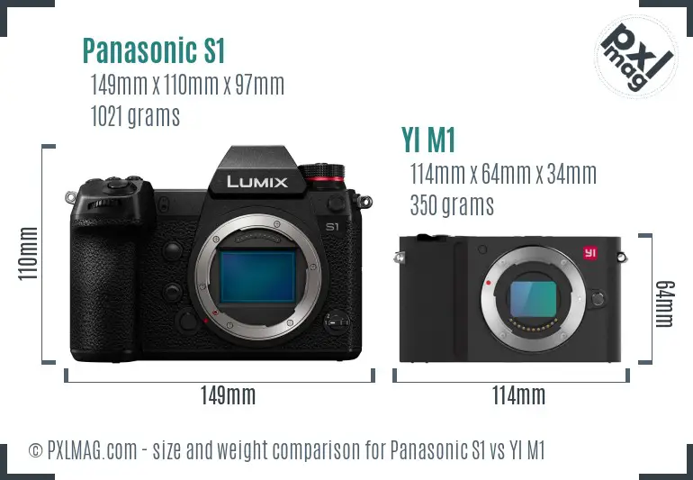 Panasonic S1 vs YI M1 size comparison