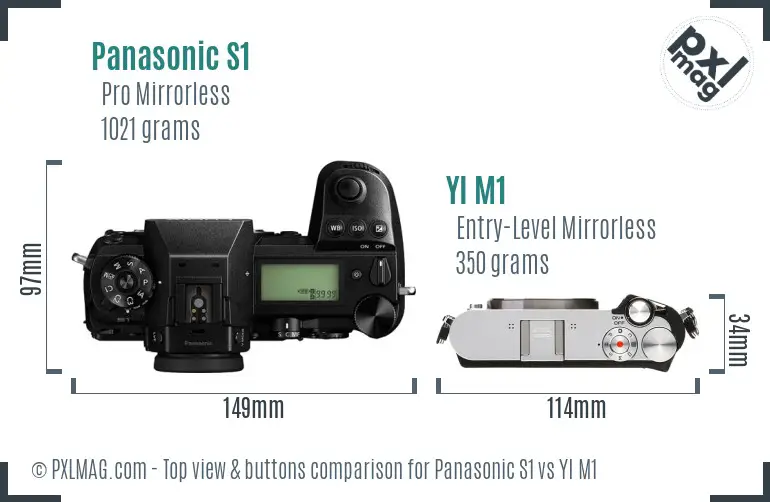 Panasonic S1 vs YI M1 top view buttons comparison