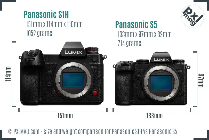 Panasonic S1H vs Panasonic S5 size comparison