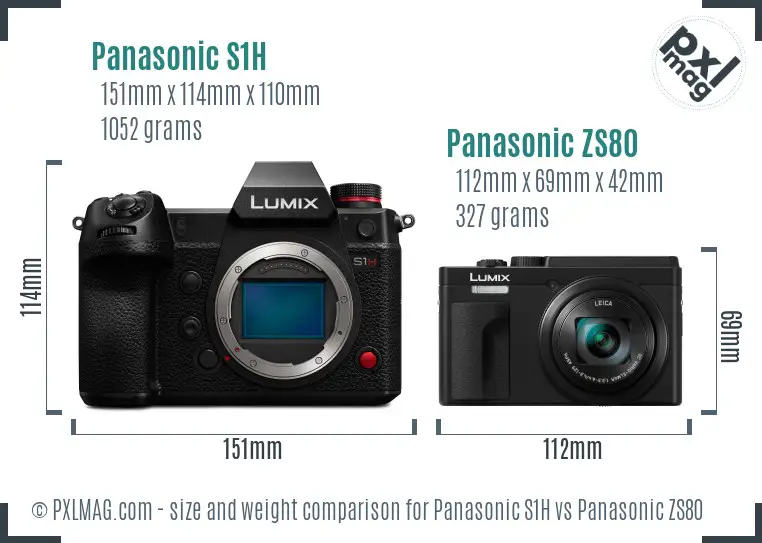 Panasonic S1H vs Panasonic ZS80 size comparison