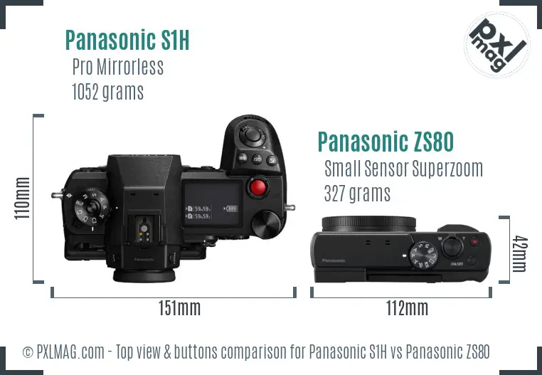 Panasonic S1H vs Panasonic ZS80 top view buttons comparison