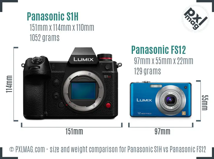 Panasonic S1H vs Panasonic FS12 size comparison