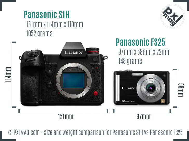 Panasonic S1H vs Panasonic FS25 size comparison