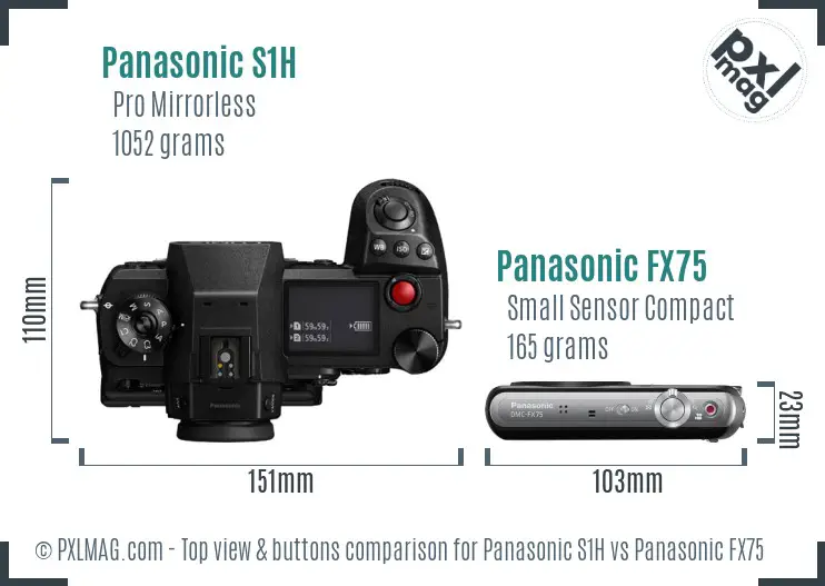 Panasonic S1H vs Panasonic FX75 top view buttons comparison