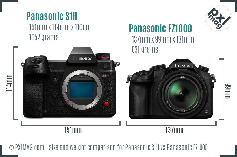 Panasonic S1H vs Panasonic FZ1000 size comparison