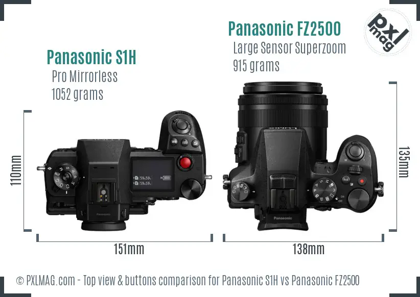 Panasonic S1H vs Panasonic FZ2500 top view buttons comparison