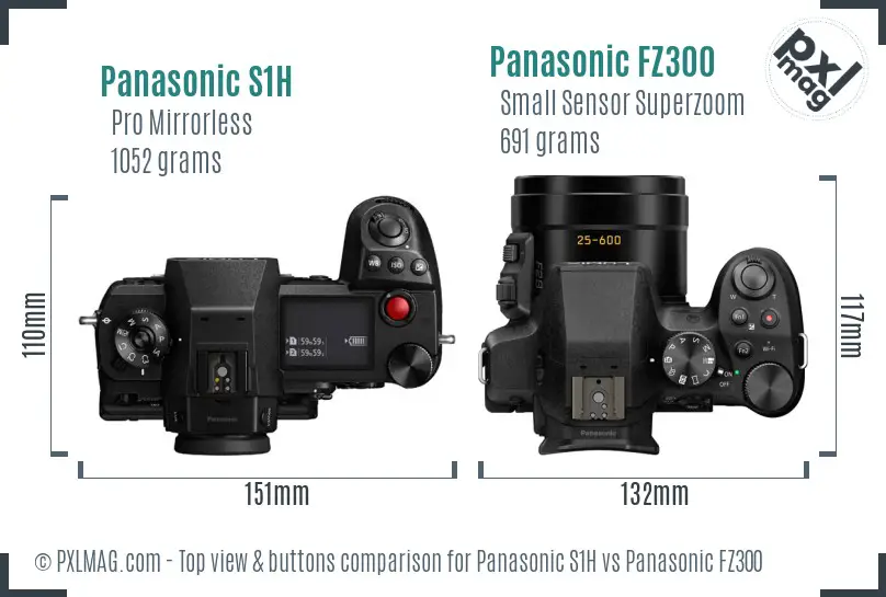 Panasonic S1H vs Panasonic FZ300 top view buttons comparison