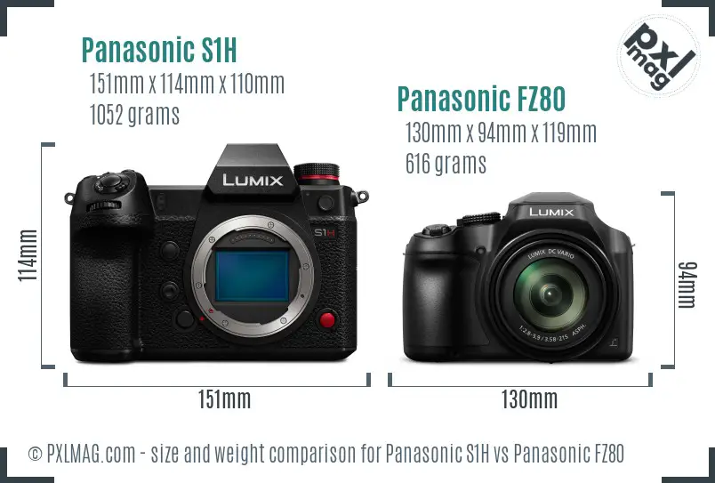 Panasonic S1H vs Panasonic FZ80 size comparison