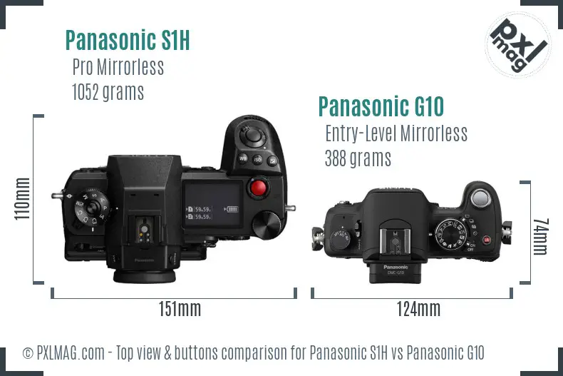 Panasonic S1H vs Panasonic G10 top view buttons comparison