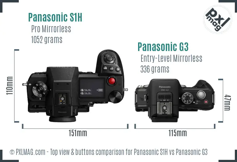 Panasonic S1H vs Panasonic G3 top view buttons comparison