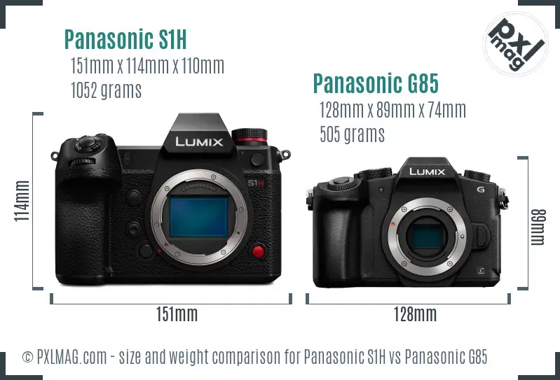 Panasonic S1H vs Panasonic G85 size comparison