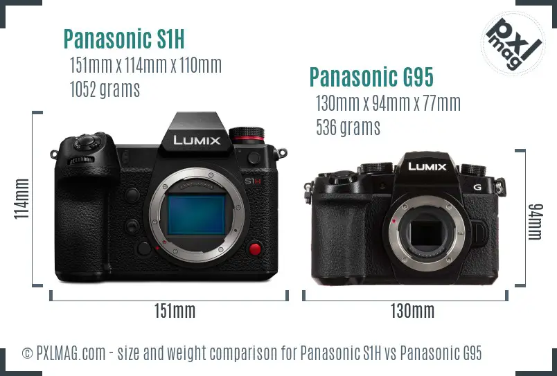 Panasonic S1H vs Panasonic G95 size comparison