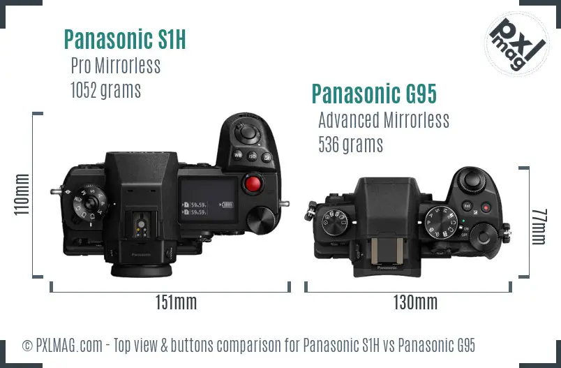 Panasonic S1H vs Panasonic G95 top view buttons comparison