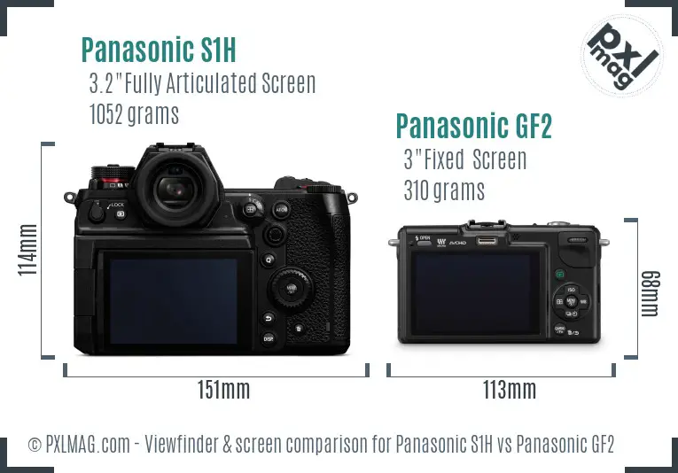 Panasonic S1H vs Panasonic GF2 Screen and Viewfinder comparison