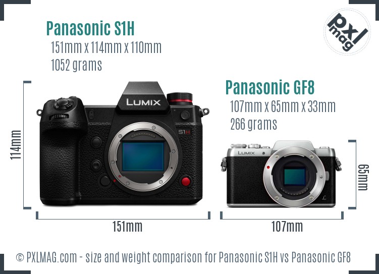 Panasonic S1H vs Panasonic GF8 size comparison