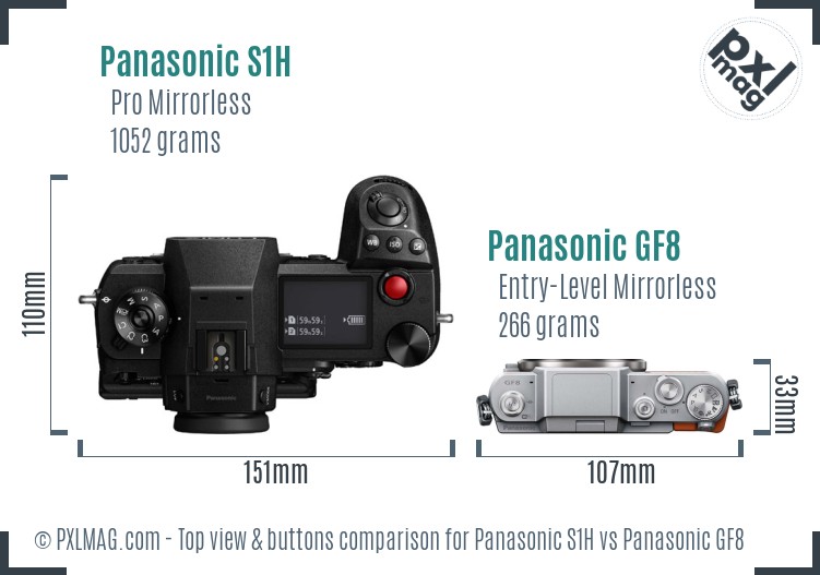 Panasonic S1H vs Panasonic GF8 top view buttons comparison