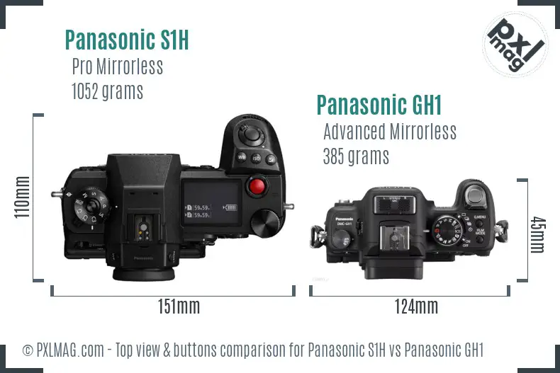Panasonic S1H vs Panasonic GH1 top view buttons comparison