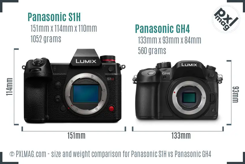 Panasonic S1H vs Panasonic GH4 size comparison