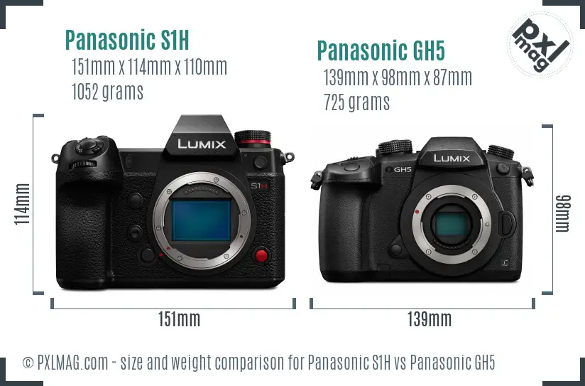 Panasonic S1H vs Panasonic GH5 size comparison