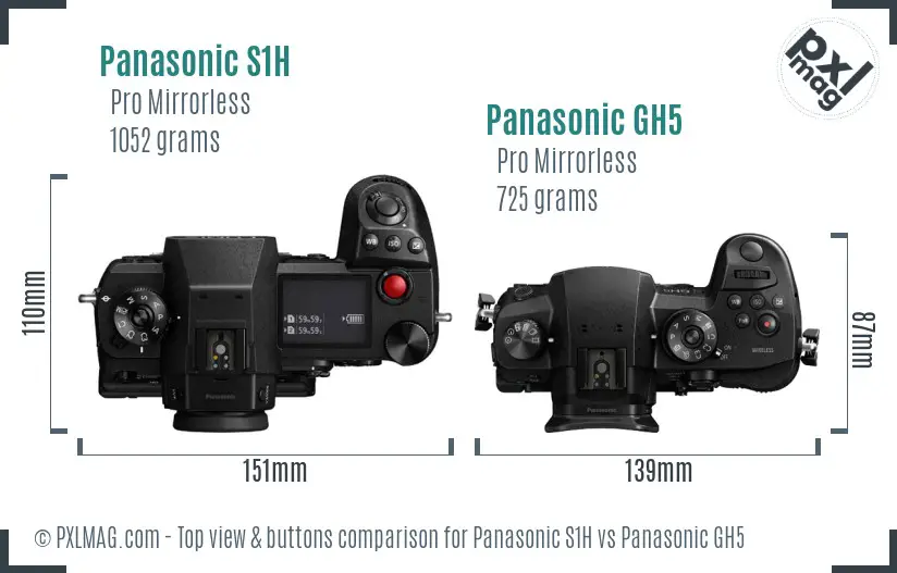 Panasonic S1H vs Panasonic GH5 top view buttons comparison