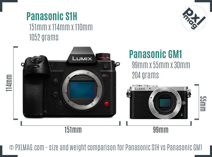 Panasonic S1H vs Panasonic GM1 size comparison