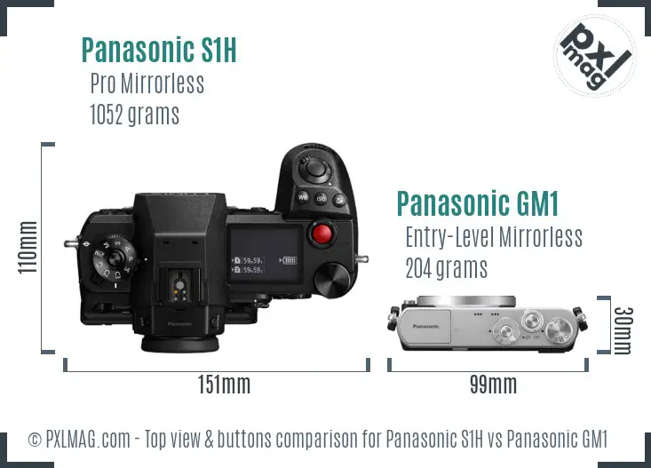 Panasonic S1H vs Panasonic GM1 top view buttons comparison